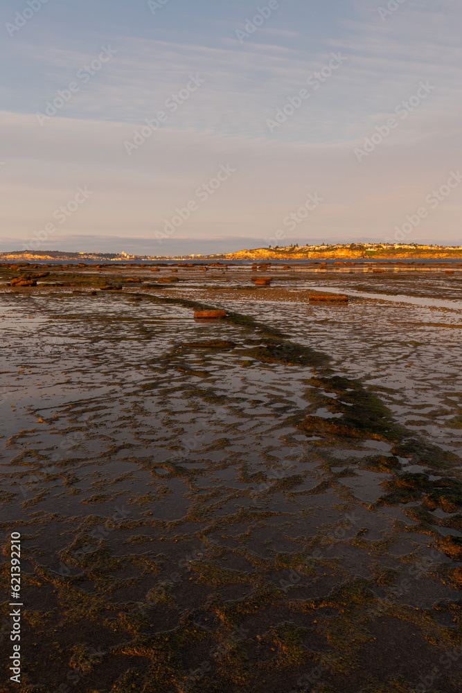 custom made wallpaper toronto digitalRock and reef under the morning golden light.