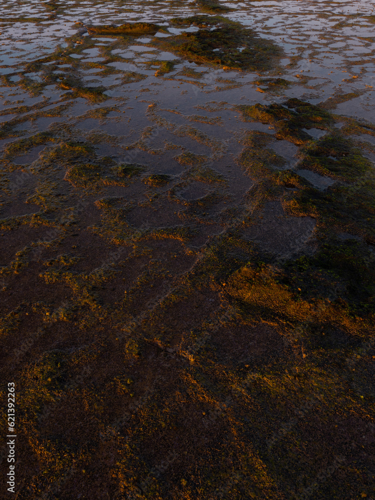 Close-up view of reef and water.