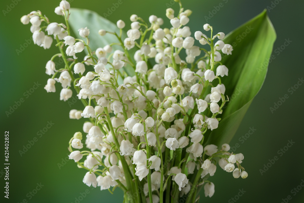 Beautiful lily of the valley flowers on blurred green background, closeup Beautiful lily of the valley flowers on blurred green background, closeup
