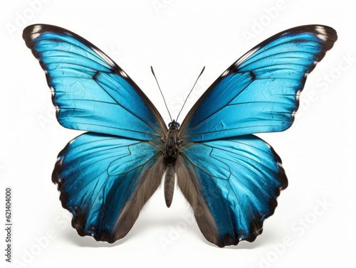 Beautiful Blue Butterfly on White Background - Perfect for Nature Photography! Generative AI © monsifdx