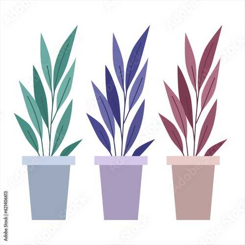 vector collection colorful of beautiful houseplants in pots