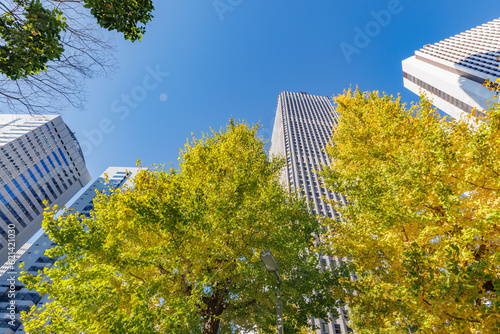 東京のビル群と紅葉した木