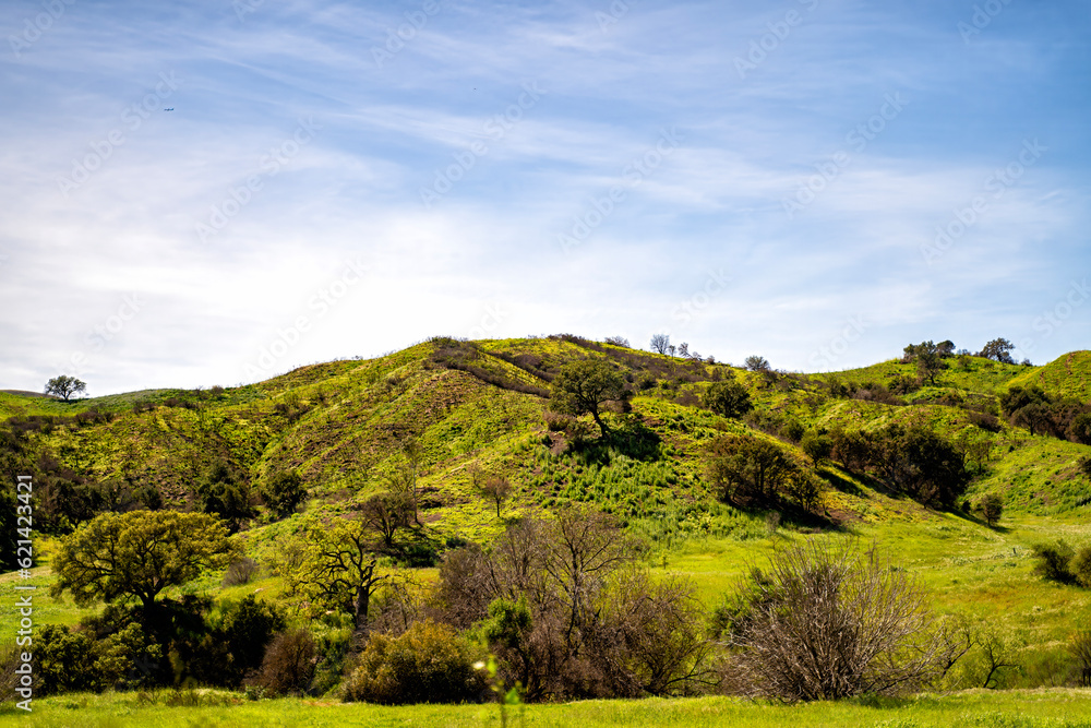 Lush hill on a blue sky background