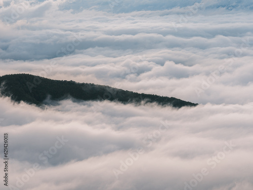 雲海