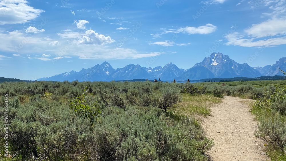 Willow Flats Overlook in Grand Teton National Park