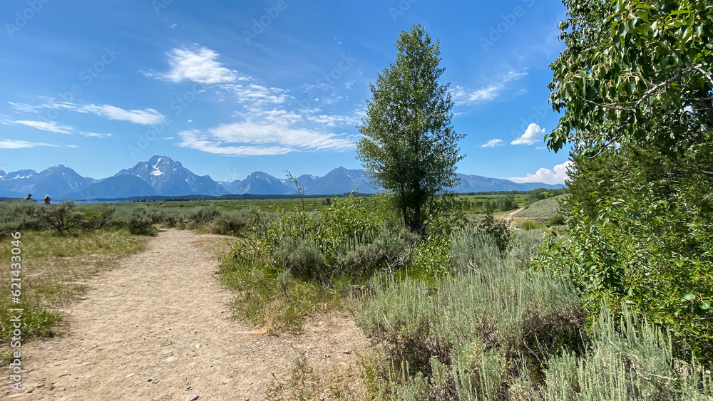 Willow Flats Overlook in Grand Teton National Park