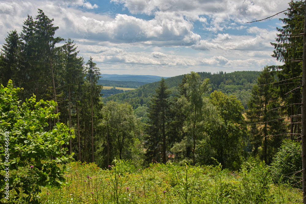 In den Höhen von Rotterode im Thüringer Wald