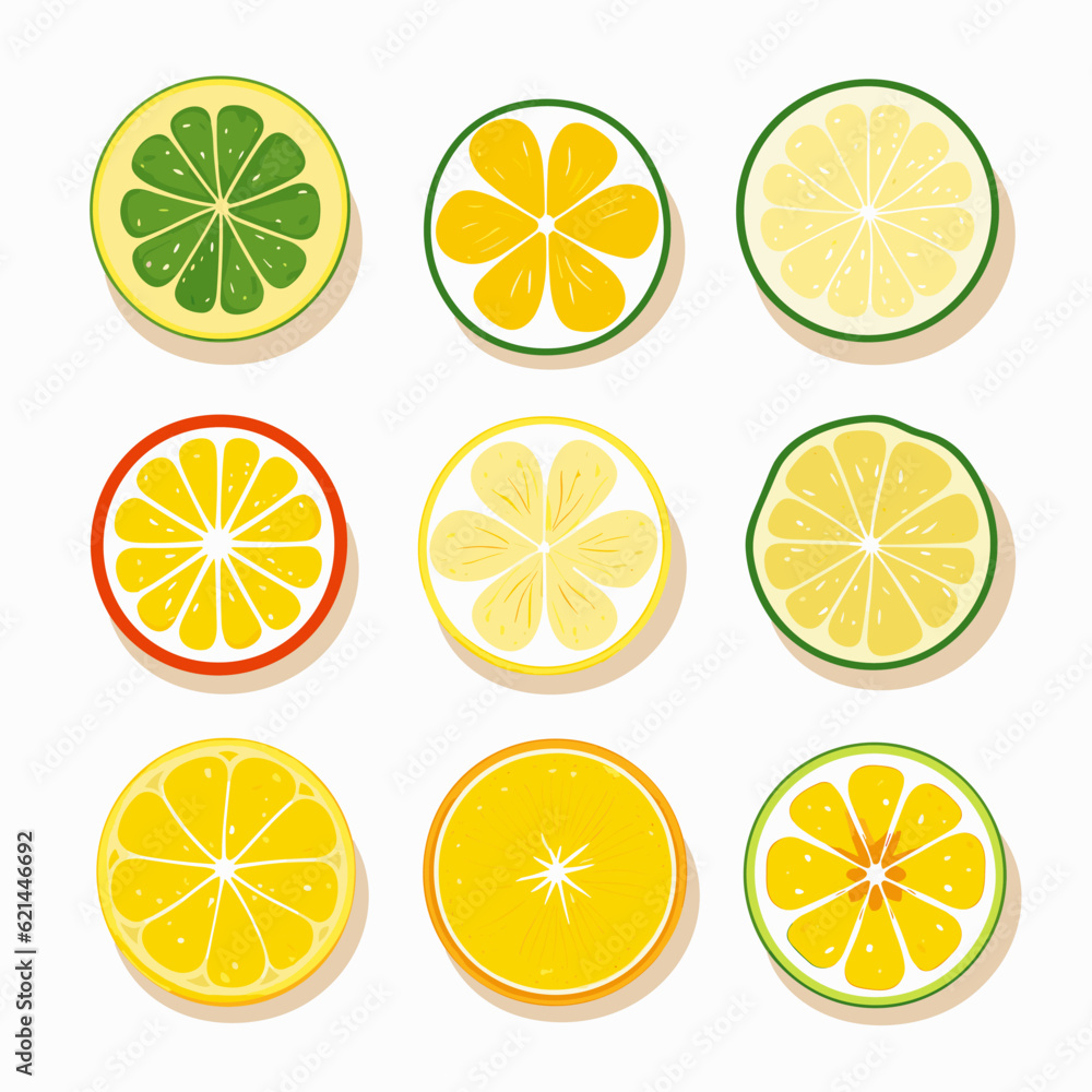 9 different shaped round lemon flat design vector white background 04