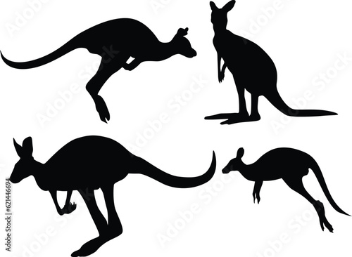Australia day. National Patriotic holiday in Australia. Kangaroo recognizable animal in country.