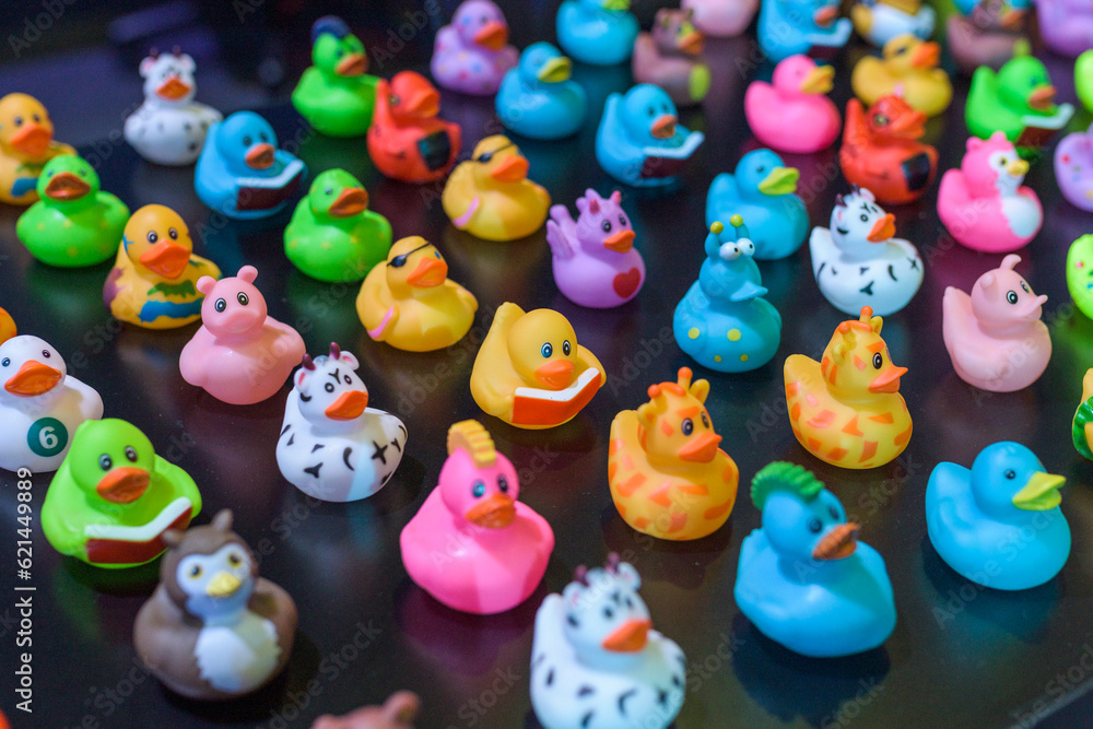 Dozen of Toy Ducks 