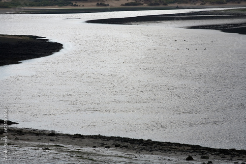 Ythan estuary - Newburgh - Aberdeenshire - Scotland - UK photo