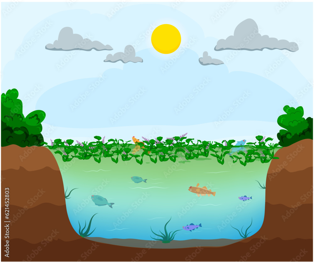 Eutrophication, Nutrient overload in water causing algal overgrowth, oxygen depletion, and ecological imbalance