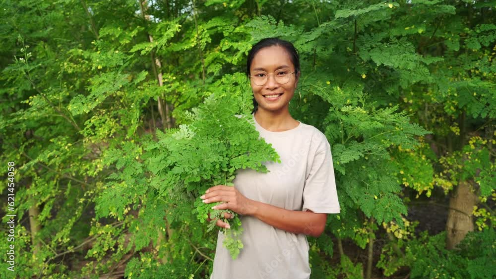 Portrait of moringa farmer with harvested leaves on plantation, sustainable Portrait of moringa farmer with harvested leaves on plantation, sustainable