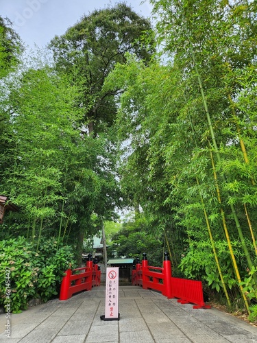 red bridge in the park
