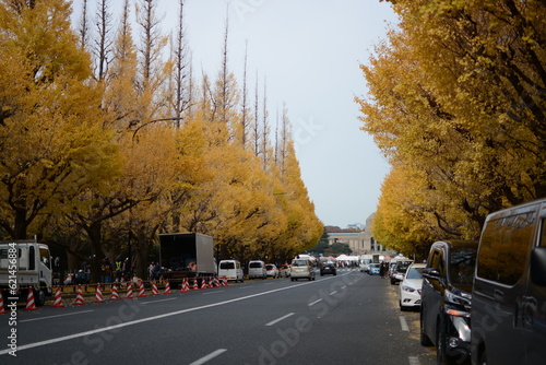 road in autumn