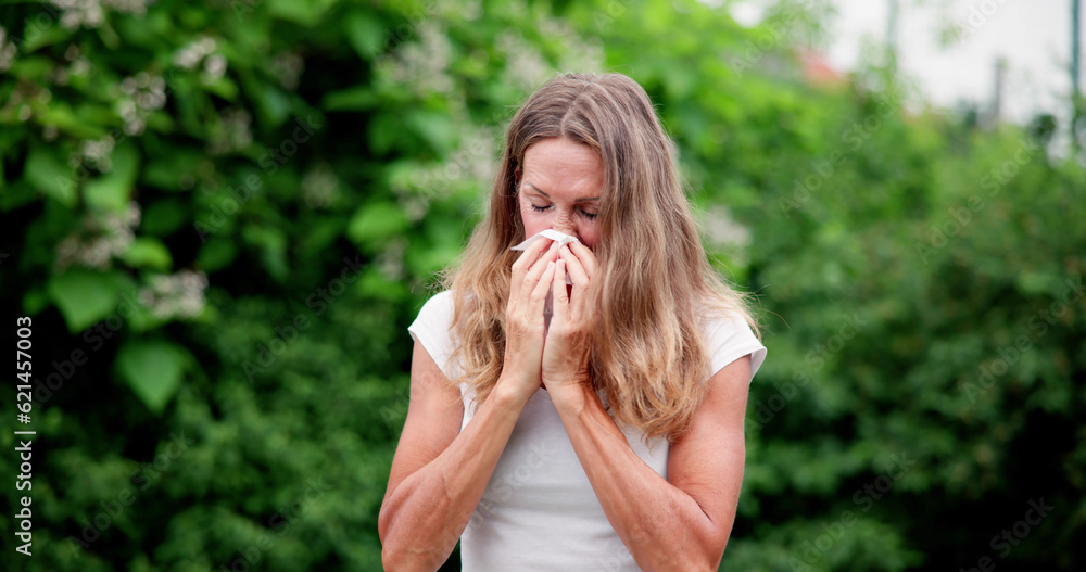 Allergic Nose And Pollen Allergy Allergic Nose And Pollen Allergy