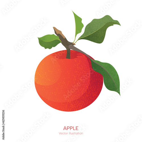 Apple fruit icon over white background. Vector flat illustration. Texture.