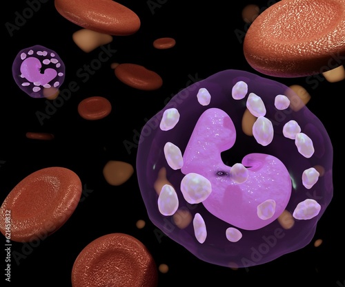 White blood cell along with red blood cells in the capillary 3d rendering photo