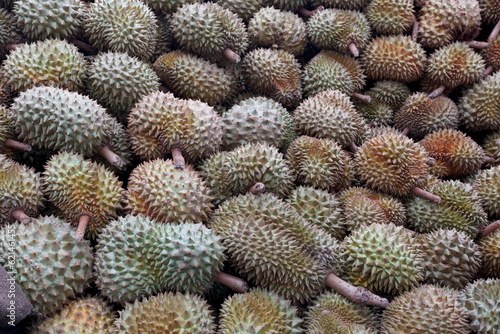 Durian has been arranged on the ground