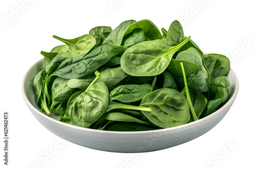 Boiled spinach. isolated object 