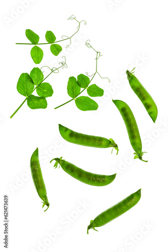 Green peas on a white backlit background. Creative layout