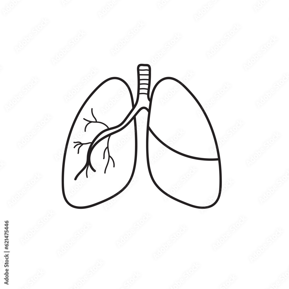 Hand drawn Kids drawing Cartoon Vector illustration lungs icon Isolated on White Background Hand drawn Kids drawing Cartoon Vector illustration lungs icon Isolated on White Background