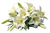 Easter lilies. transparent background