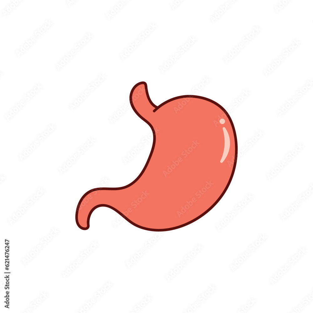 Kids drawing Cartoon Vector illustration stomach icon Isolated on White Background Kids drawing Cartoon Vector illustration stomach icon Isolated on White Background