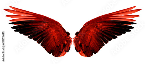 red wings isolated on a white background