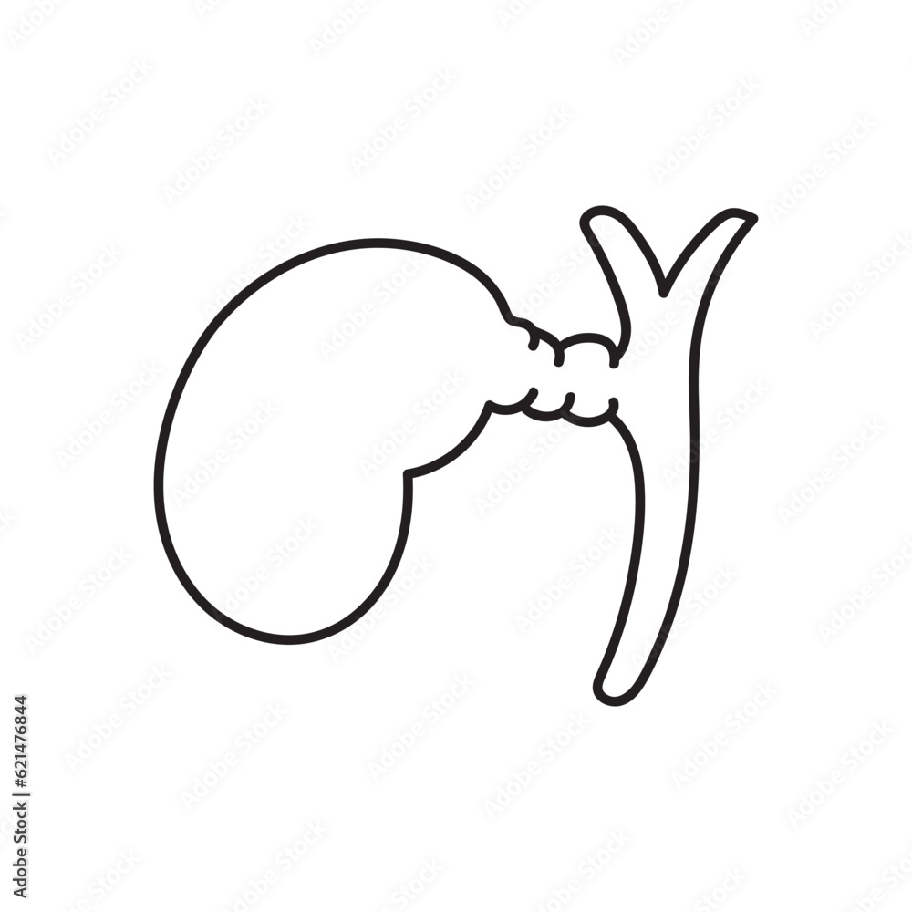 Hand drawn Kids drawing Cartoon Vector illustration galbladder icon Isolated on White Background Hand drawn Kids drawing Cartoon Vector illustration galbladder icon Isolated on White Background
