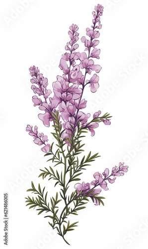 Branch heather mother s day mom vector print purple flowers blossom Valentine s day