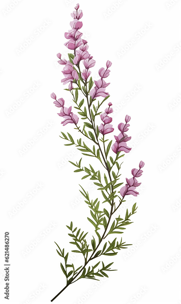 Obraz premium Branch heather mother's day mom vector print purple flowers blossom Valentine's day