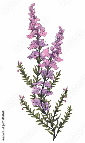 Branch heather mother s day mom vector print purple flowers blossom Valentine s day