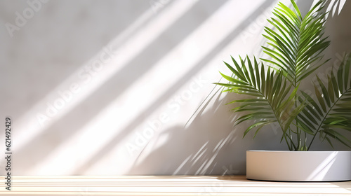 Minimal and modern podium with plant, leaves shadow, and sunlight for products display backdrop. © jxvxnism