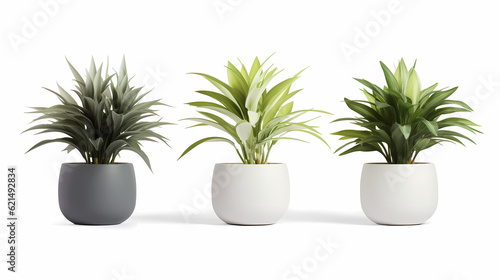Collection of minimal plants on pot or vase  isolated on white background.