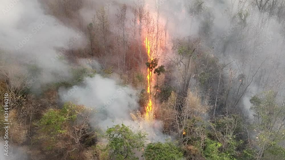 Climate change, wildfires release carbon dioxide (CO2) emissions and other greenhouse gases (GHG) that contribute to climate change and global warming.