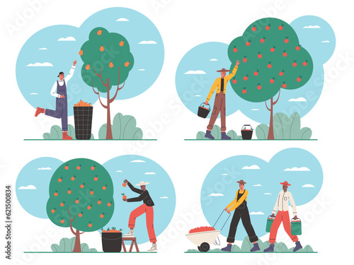 Cartoon people on harvesting. Happy farmers characters. Agricultural workers collect fruits and vegetables. Ranch works with baskets and buckets collecting crop. Vector gardeners set