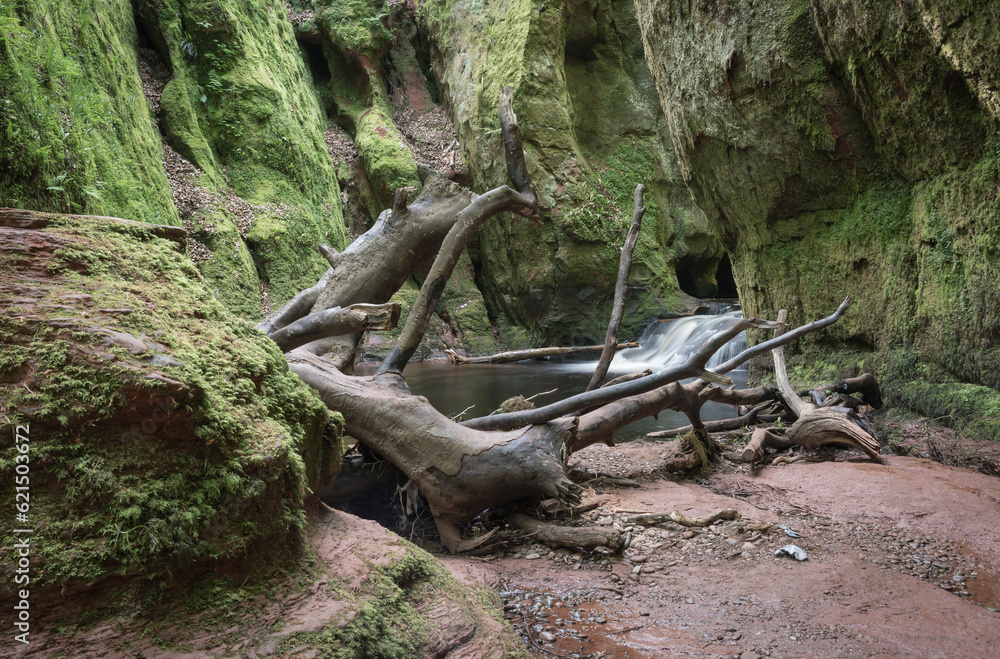 Narrow valley called Devils Pulpit near Glasgow. Narrow valley called Devils Pulpit near Glasgow.