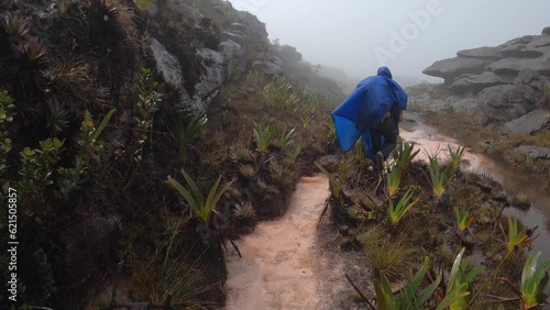 Back view of hiker in blue raincoat traveling on summit of Mount Roraima on cloudy rainy day, Canaima national park, Venezuela