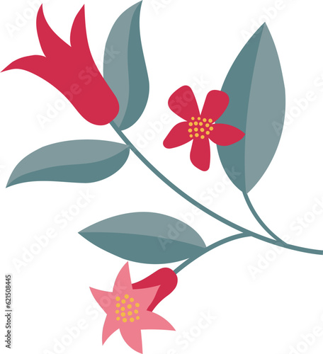 pomegranate fruit branch with leaves and flowers