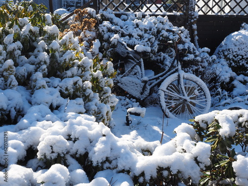 Winter im Garten 