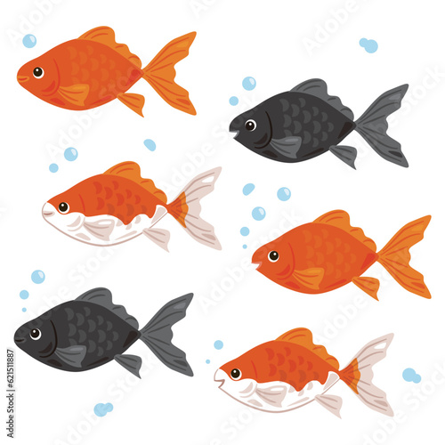 金魚セット