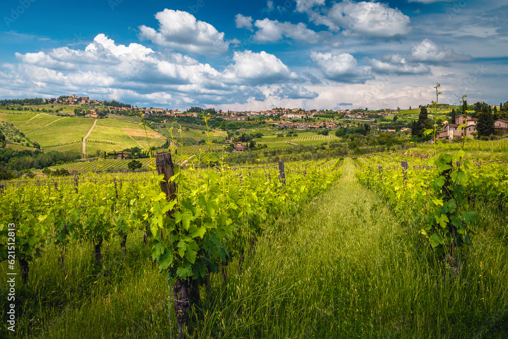 Spectacular vineyards on the hill in Tuscany, Italy