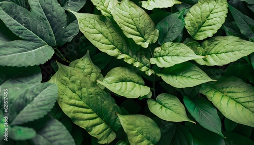 mint leaves in the garden, AI generated 