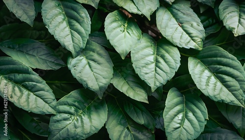 close up of leaves, AI generated 
