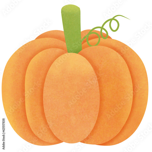 Drawing of pumpkin isolated...