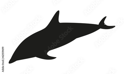 Delfin Silhouette