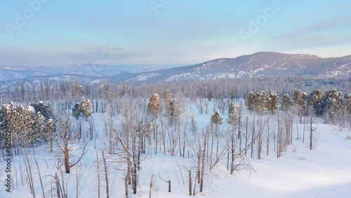 Wallpaper Mural Altai mountains in winter: Seminsky Ridge and Seminsky Pass. Aerial view. Torontodigital.ca