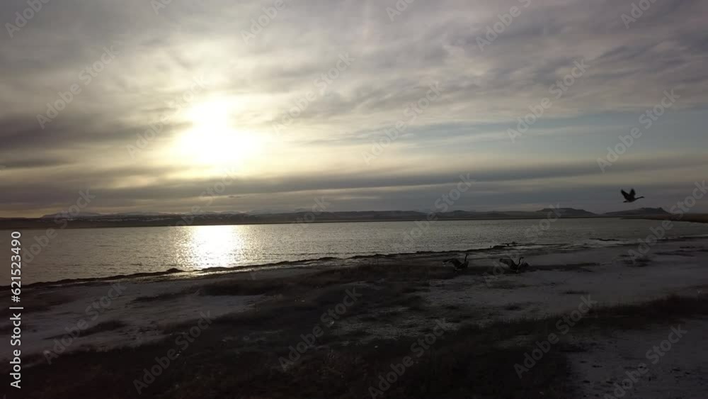 Aerial Forward Shot Of Birds Flying At Riverbank Against Sky During Sunset, Drone Over Landscape - Billings, Montana Aerial Forward Shot Of Birds Flying At Riverbank Against Sky During Sunset, Drone Over Landscape - Billings, Montana