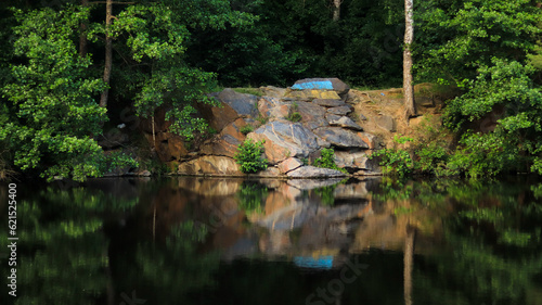 Lake in the forest